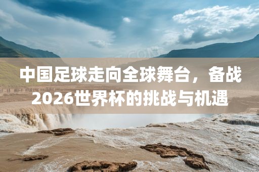 中国足球走向全球舞台，备战2026世界杯的挑战与机遇黄冈市中杰窑炉设备有限公司