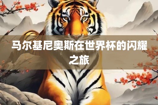 马尔基尼奥斯在世界杯的闪耀之旅