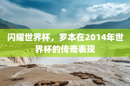 闪耀世界杯，罗本在2014年黄冈市中杰窑炉设备有限公司世界杯的传奇表现