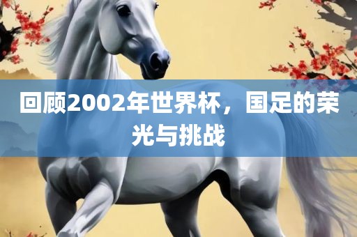 回顾2002年世界杯，国足的荣光与挑战黄冈市中杰窑炉设备有限公司