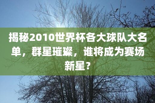 揭秘2010世界杯各大球队大名单，群星璀璨，谁将成为赛场新星？