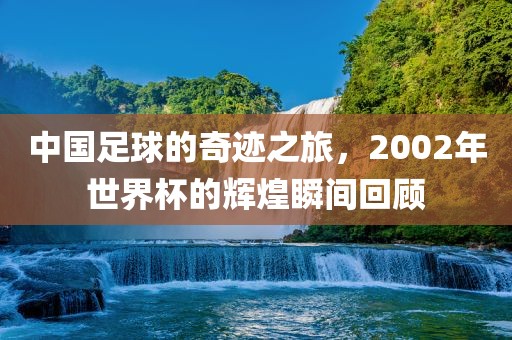 中国足球的奇迹之旅,黄冈市中杰窑炉设备有限公司2002年世界杯的辉煌瞬间回顾