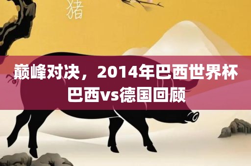 巅峰对决，2014年巴西世界杯巴西vs德国回顾黄冈市中杰窑炉设备有限公司