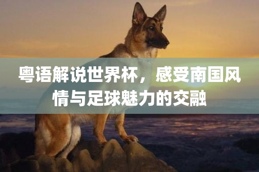 粤语解说世界杯,感受南国风情与足球魅力的交融黄冈市中杰窑炉设备有限公司