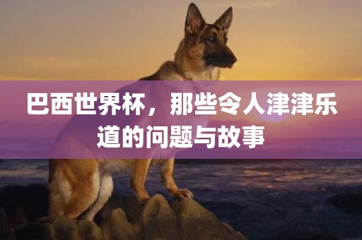 巴西世界杯 第2页