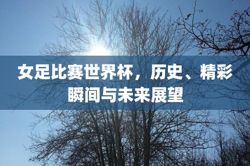 女足比赛世界杯，历史、精彩瞬间与未来展望