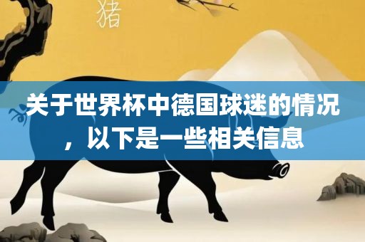 关于世界杯中德国球迷的情况，以下是一些相关信息黄冈市中杰窑炉设备有限公司