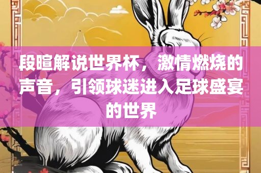 段暄解说世界杯，激情燃烧的声音，引领球迷进入足球盛宴的世界