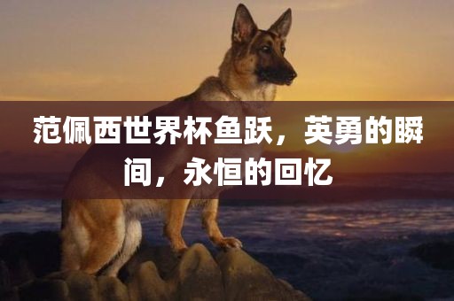 范佩西世界杯鱼跃,英勇的瞬间,永恒的回忆黄冈市中杰窑炉设备有限公司