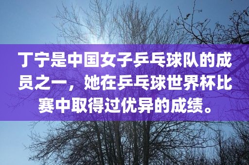 丁宁是中国女子乒乓球队的成员之一，她在乒乓球世界杯比赛中取得过优异的成绩。黄冈市中杰窑炉设备有限公司