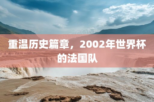 重温历史篇章，2002年世界杯的法国队黄冈市中杰窑炉设备有限公司