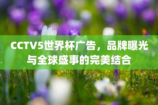 CCTV5世界杯广告,品牌曝光与全球盛事的完美结合黄冈市中杰窑炉设备有限公司