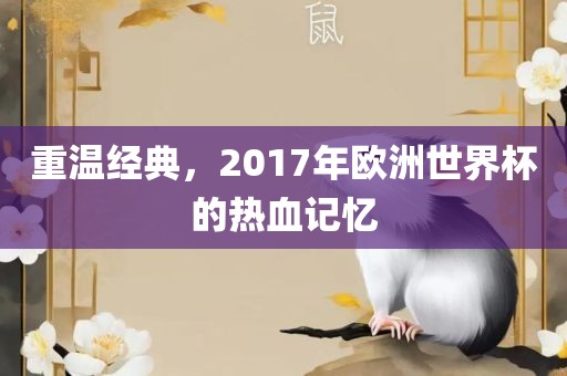 重温经典，2017年欧洲世界杯的热血记黄冈市中杰窑炉设备有限公司忆