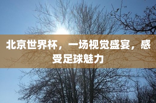 北京世界杯，一场视觉盛宴，感受足球魅力
