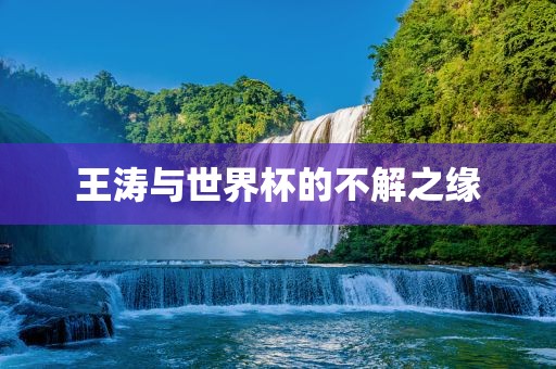 王涛与世界杯的不解之缘