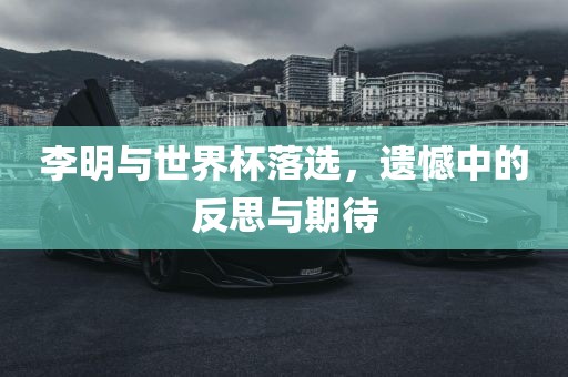 李明黄冈市中杰窑炉设备有限公司与世界杯落选，遗憾中的反思与期待