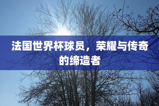 法国世界杯球员，荣耀与传奇的缔造者