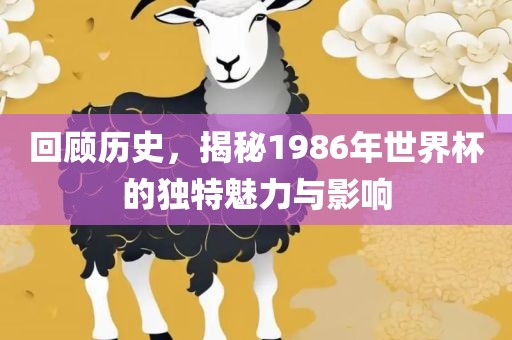 回顾历史,揭秘1986年世界杯的独特魅力与影响黄冈市中杰窑炉设备有限公司