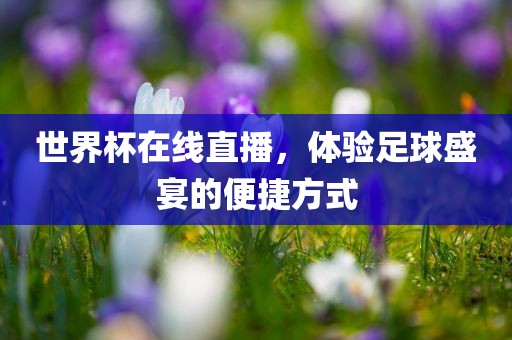 世界杯在线直播,体验足球盛宴的便捷方式