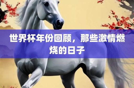 世界杯年份回顾,那些激情燃烧的日子