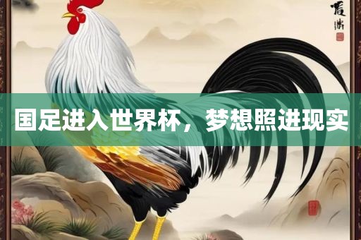 国足进入世界杯,梦想照进现实黄冈市中杰窑炉设备有限公司