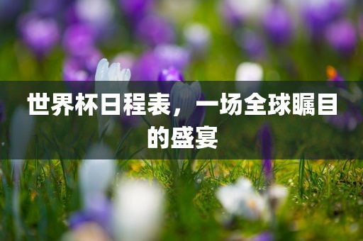 世界杯日程表,一场全球瞩目的盛宴