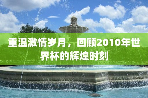 重温激情岁月，回顾2010年世界杯的辉煌时刻黄冈市中杰窑炉设备有限公司