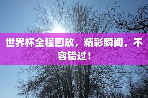 世界杯全程回放，精彩瞬间，不容错过！