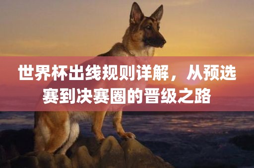 世界杯出线规则详黄冈市中杰窑炉设备有限公司解,从预选赛到决赛圈的晋级之路