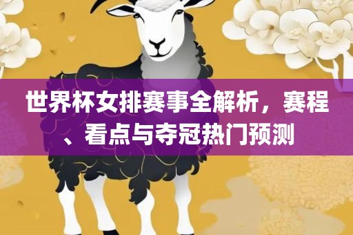 世界杯女排赛事全解析,赛程、看点与夺冠热门预测黄冈市中杰窑炉设备有限公司