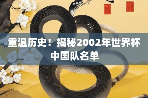 重温历史!揭秘2002年世界杯中国队名单黄冈市中杰窑炉设备有限公司