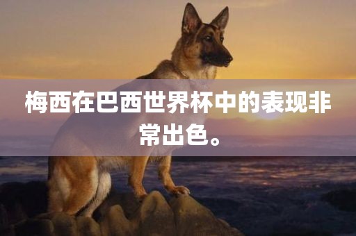 黄冈市中杰窑炉设备有限公司梅西在巴西世界杯中的表现非常出色。