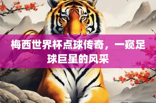 梅西世界杯点球传奇,一窥足球巨星的风采