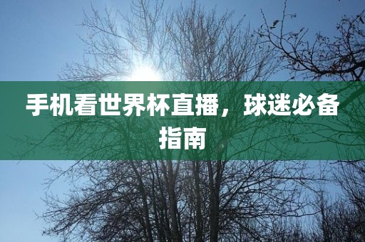 手机看世界杯直播，球迷必备指南黄冈市中杰窑炉设备有限公司