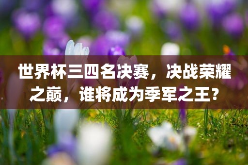 世界杯三四名决赛,决战荣耀之巅,谁将成为季军之王?