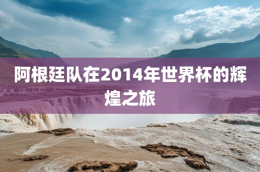 阿根廷队在2014年世界杯的辉煌之旅