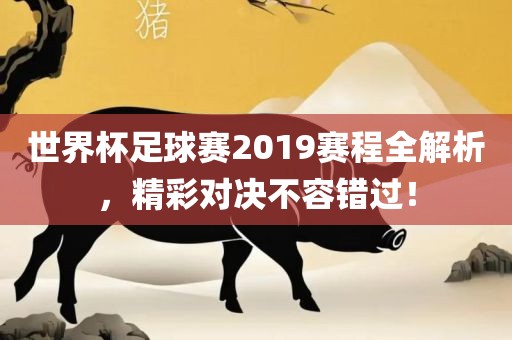 世界杯足球赛2019赛程全解析,精彩对决不容错过!