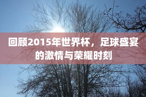 回顾2015年世界杯,足球盛宴的激情与荣耀时刻黄冈市中杰窑炉设备有限公司