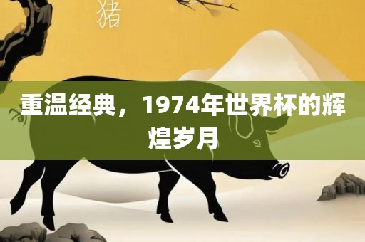 重温经典,1974年世界杯黄冈市中杰窑炉设备有限公司的辉煌岁月