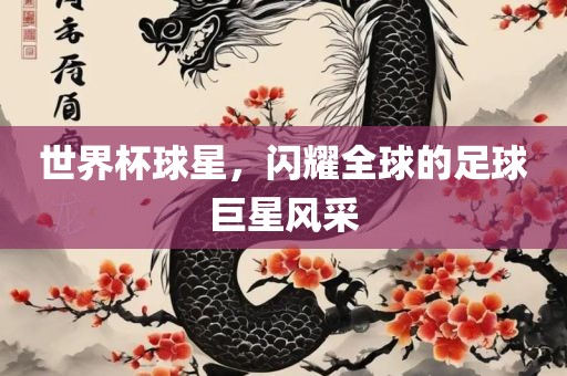 世界杯球星,闪耀全球的足球巨星风采黄冈市中杰窑炉设备有限公司