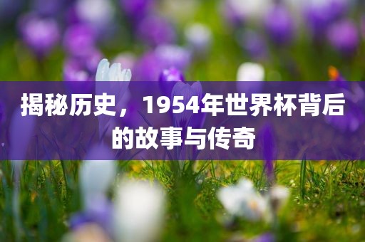 揭秘历史,1954黄冈市中杰窑炉设备有限公司年世界杯背后的故事与传奇