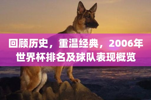 回顾历史,重温经典,2006年世界杯排名及球队表现概览