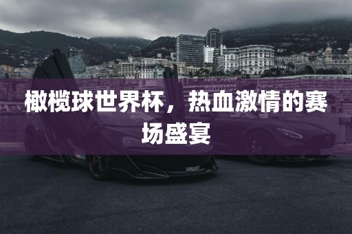 橄榄球世界杯，热血激情的赛场盛宴