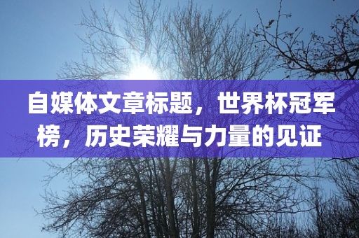自媒体文章标题，世界杯冠军榜，历史荣耀与力量的见证