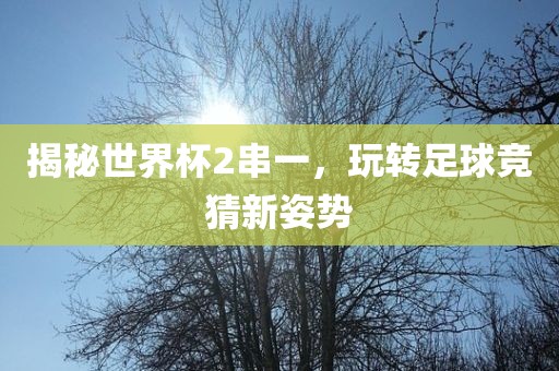 揭秘世界杯2串一，玩转足球竞猜黄冈市中杰窑炉设备有限公司新姿势