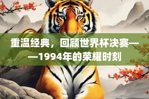重温经典,回顾世界杯决赛——1994年的荣耀黄冈市中杰窑炉设备有限公司时刻