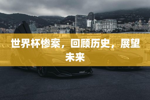 世界杯惨案,回顾历史,展望未来