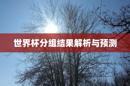 世界杯分组结果解析与预测