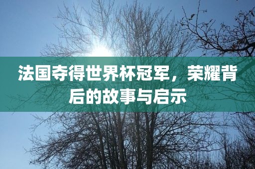法国夺得世界杯冠军,荣耀背后的故事与启示