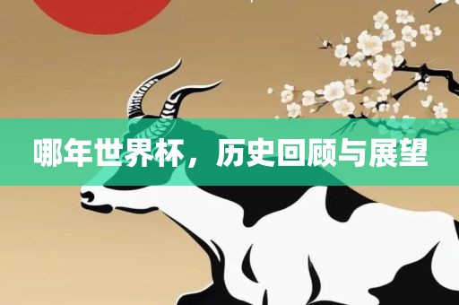 哪年世界杯,历史回顾与展望